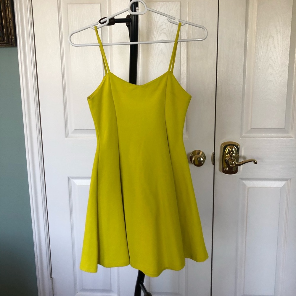 Zara Fit and Flare Dress